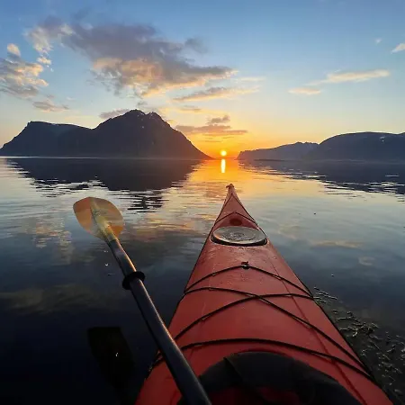 Amazing In Lyngvaer Ll24 *